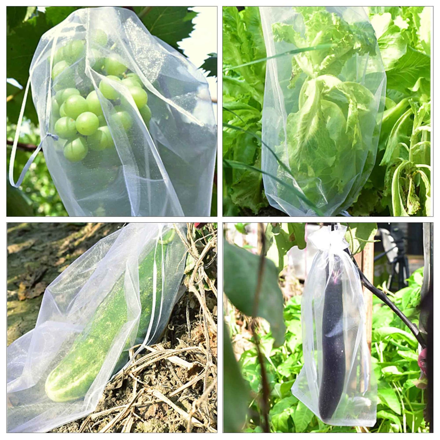20-100 pçs morango uvas frutas frutas crescer sacos rede malha vegetal planta s