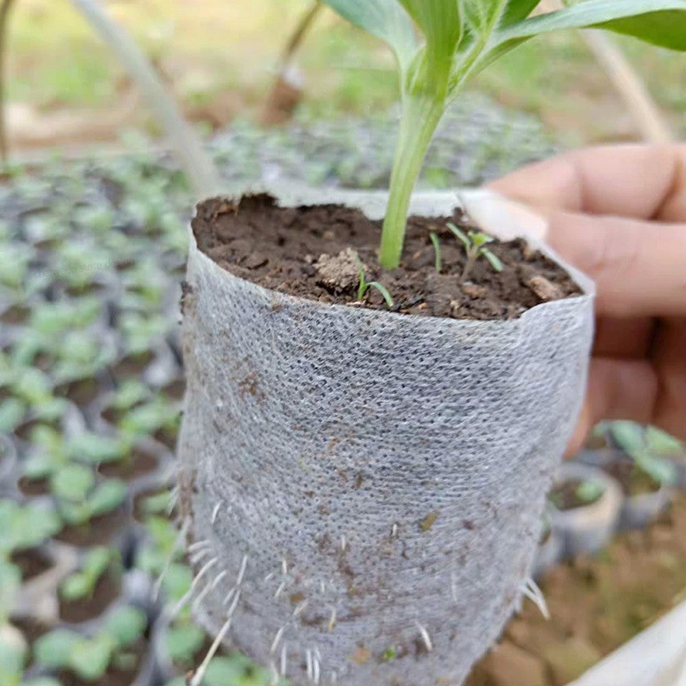 100-500 peças saco de berçário biodegradável planta crescer sacos de ferrame