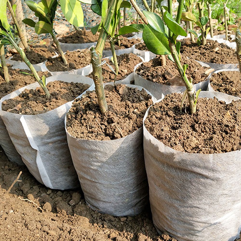 100-500 peças saco de berçário biodegradável planta crescer sacos de ferrame