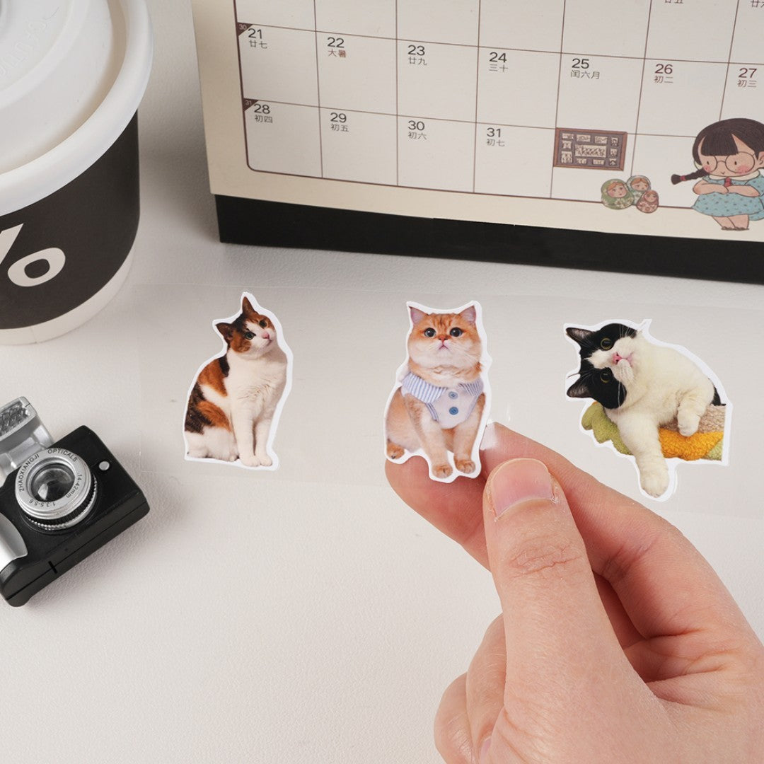 50 peças adesivos personalizados à prova d'água vinil recorte logotipo de