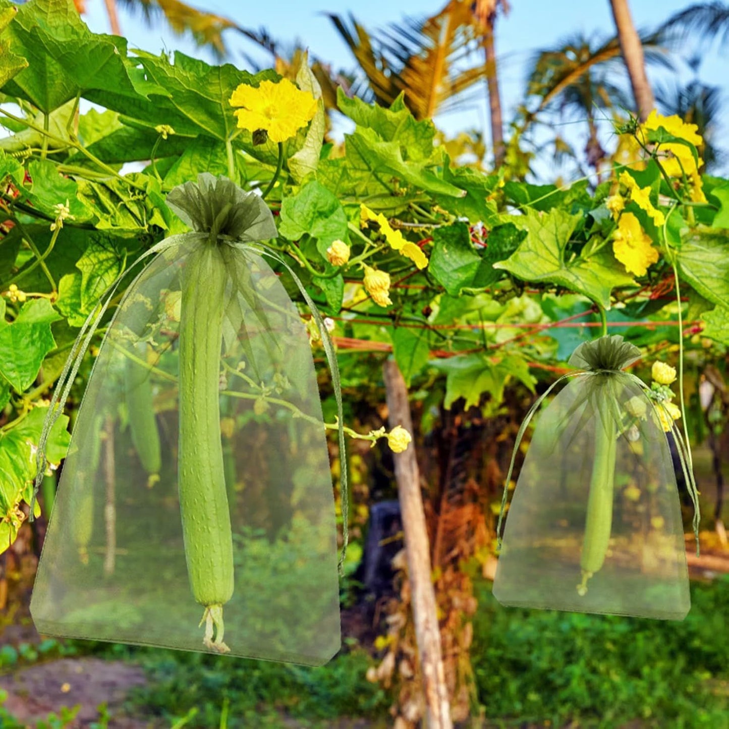 5/300 sacos de rede de proteção de frutas com cordão reutilizáveis sacos de