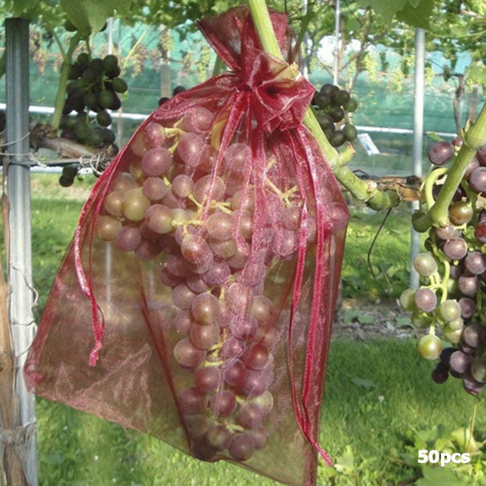 20-100 pçs morango uvas frutas frutas crescer sacos rede malha vegetal planta s