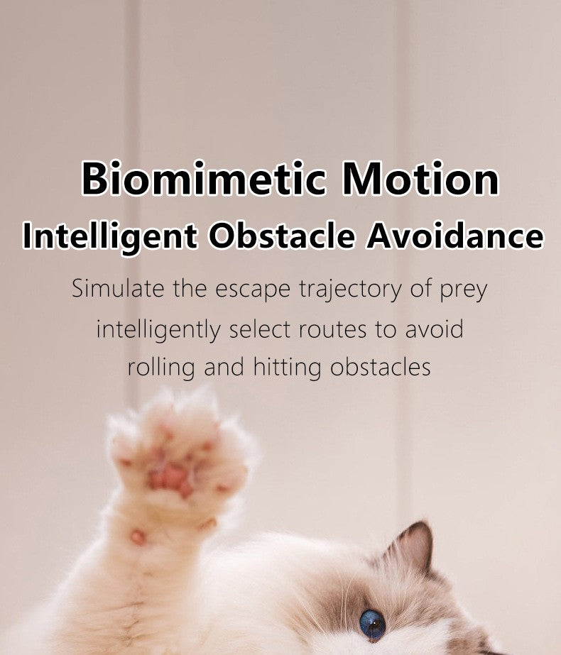 Gato bola interativa inteligente gato brinquedos interior automático rolamento