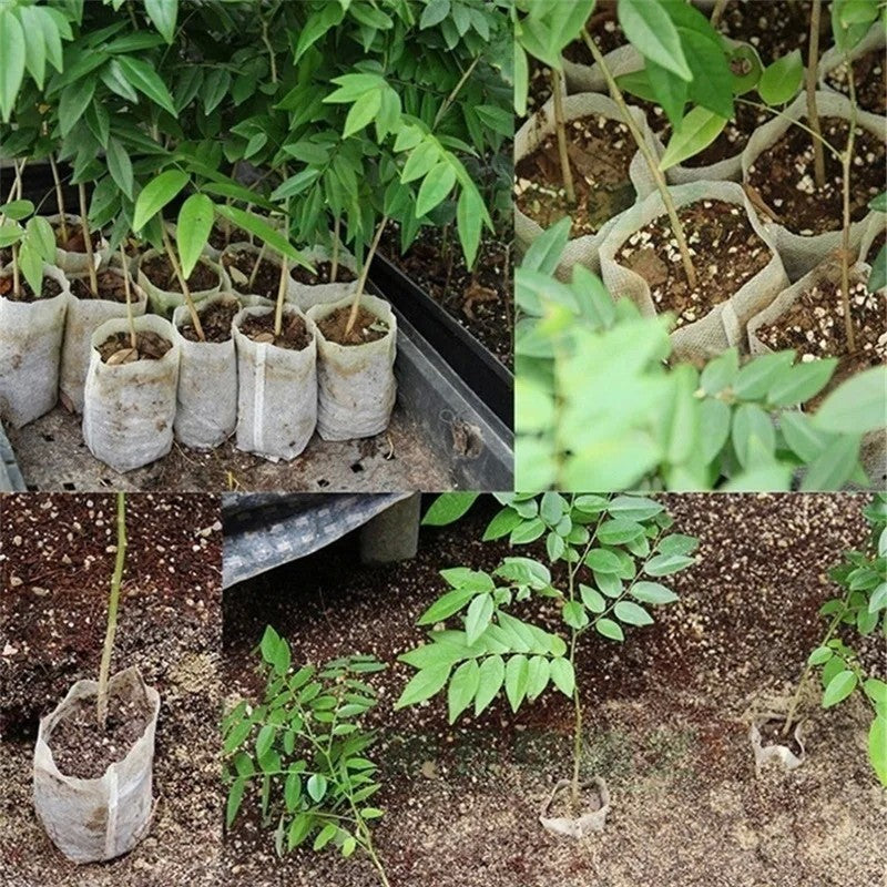 100-500 peças saco de berçário biodegradável planta crescer sacos de ferrame
