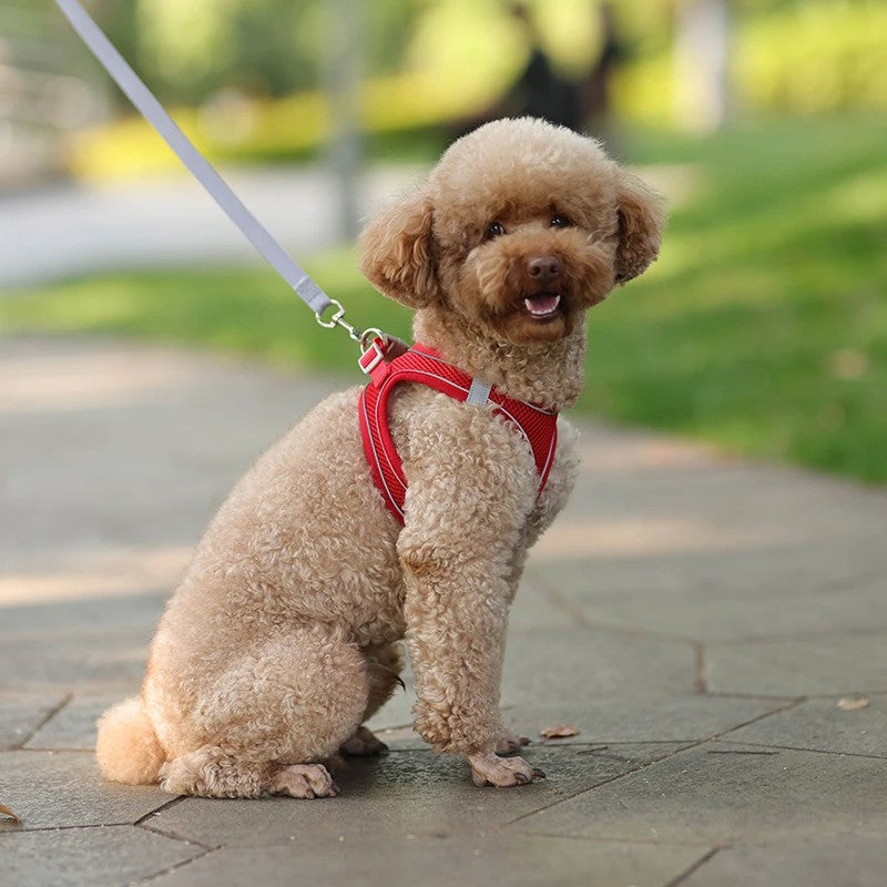 Conjunto de Arnês Ajustável para Cachorro e Gato, Colete para Cães, Trela Pet