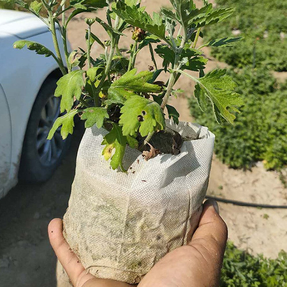 100-500 peças saco de berçário biodegradável planta crescer sacos de ferrame