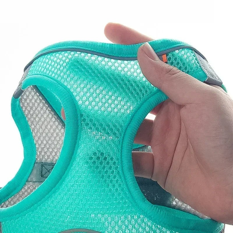 Conjunto de Arnês Ajustável para Cachorro e Gato, Colete para Cães, Trela Pet