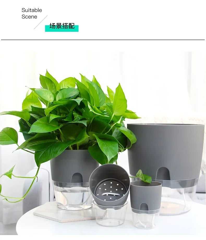 Vaso de flores de plástico transparente, camada dupla, rega automática, corda