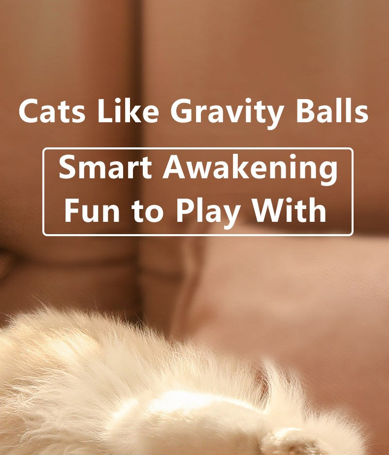 Gato bola interativa inteligente gato brinquedos interior automático rolamento
