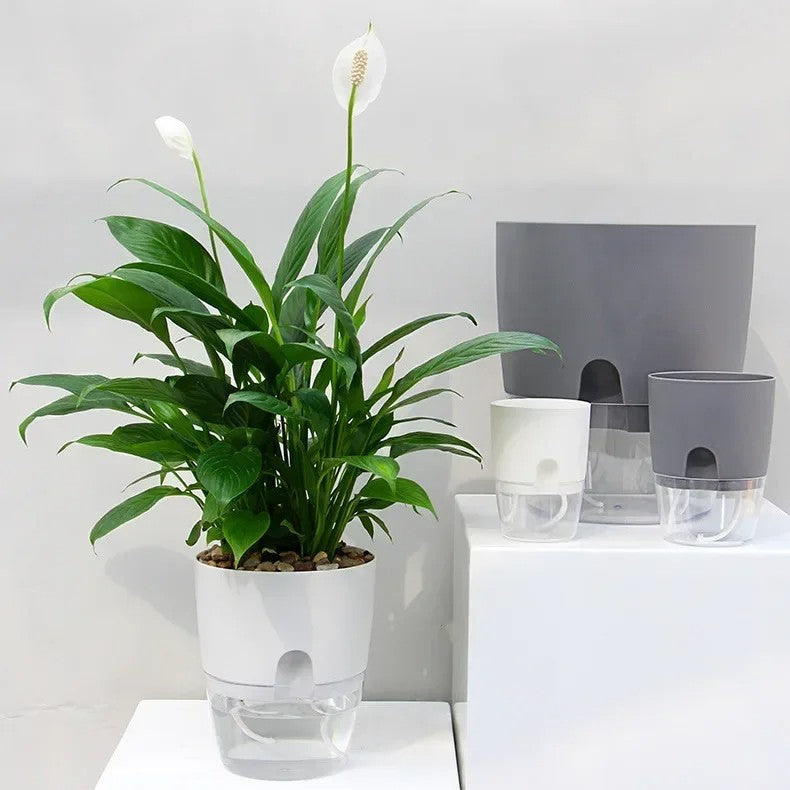 Vaso de flores de plástico transparente, camada dupla, rega automática, corda