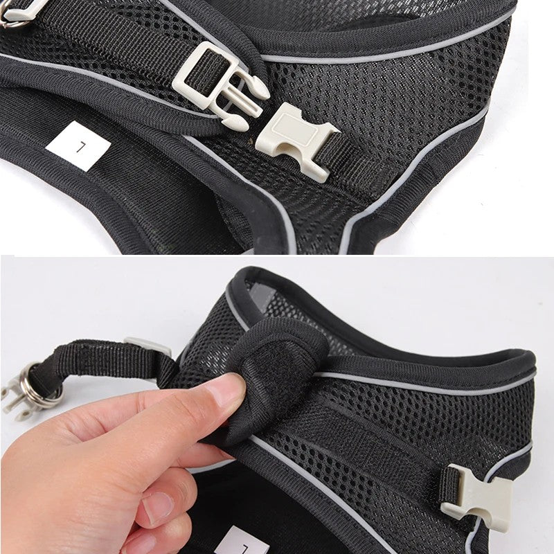 Conjunto de Arnês Ajustável para Cachorro e Gato, Colete para Cães, Trela Pet