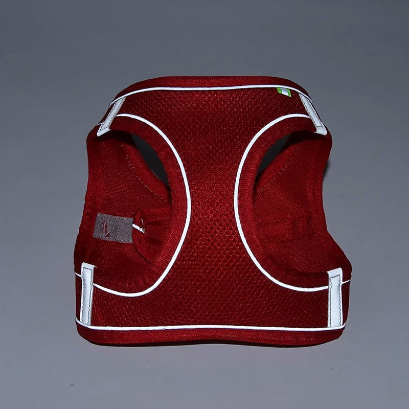 Conjunto de Arnês Ajustável para Cachorro e Gato, Colete para Cães, Trela Pet