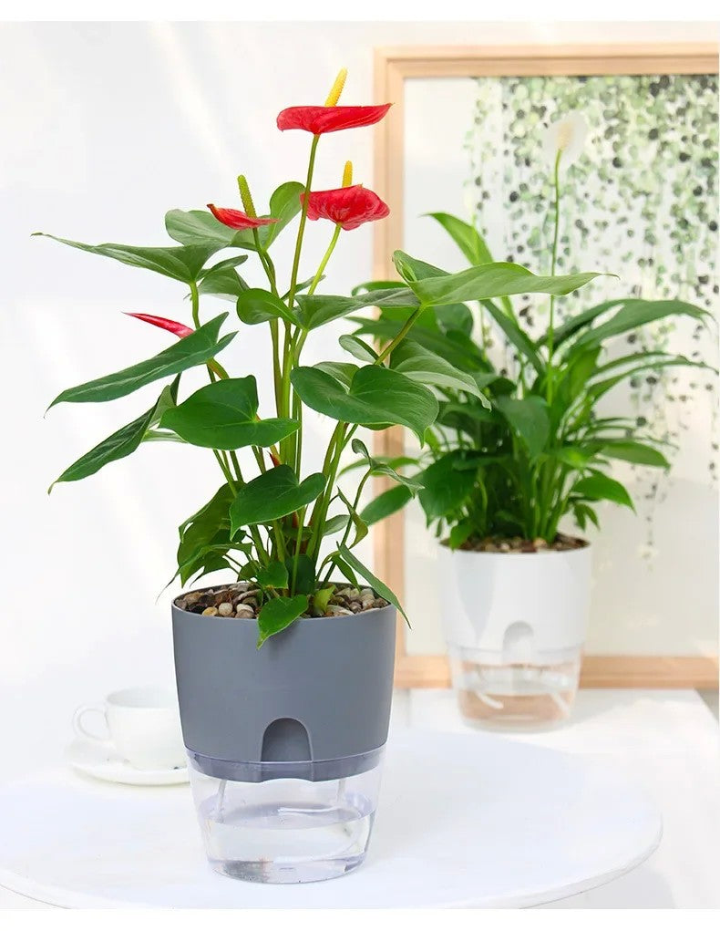 Vaso de flores de plástico transparente, camada dupla, rega automática, corda