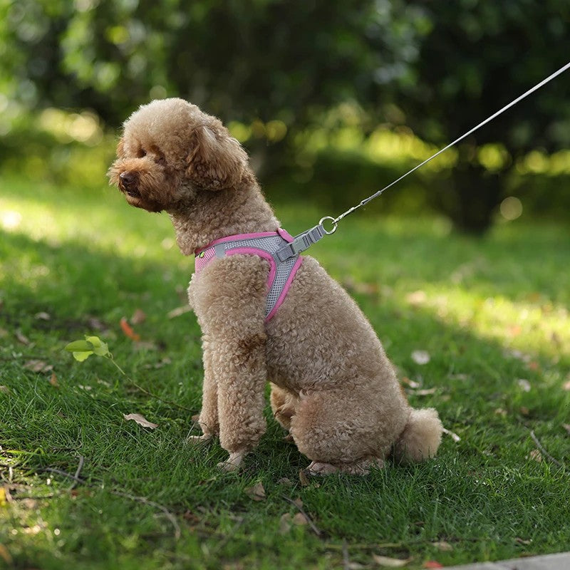 Conjunto de Arnês Ajustável para Cachorro e Gato, Colete para Cães, Trela Pet