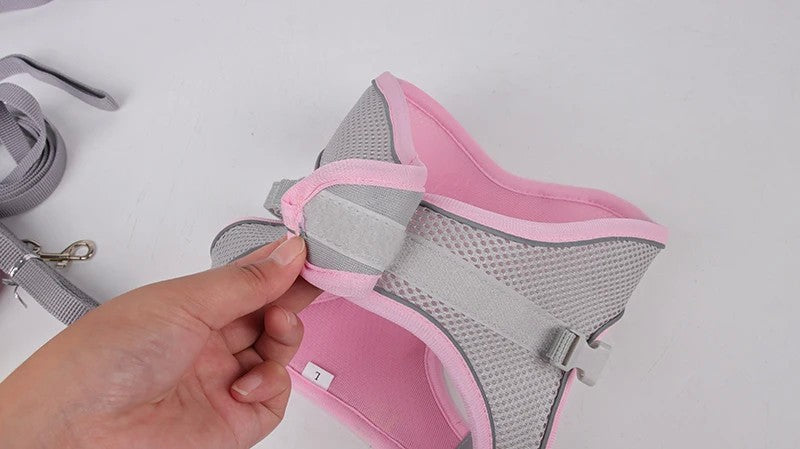 Conjunto de Arnês Ajustável para Cachorro e Gato, Colete para Cães, Trela Pet
