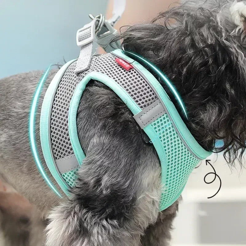 Conjunto de Arnês Ajustável para Cachorro e Gato, Colete para Cães, Trela Pet