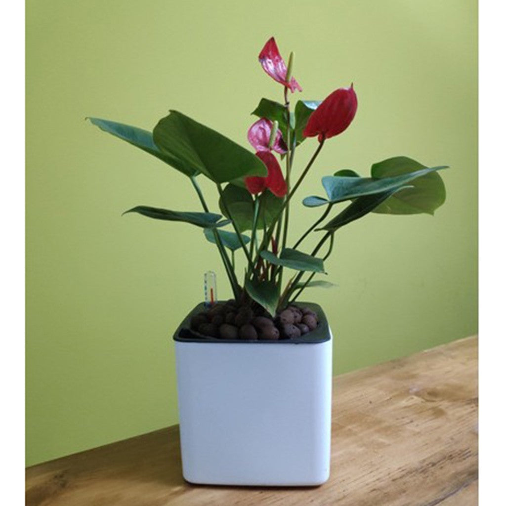 Plantador branco com rega automática, indicador de água, vaso decorativo moder