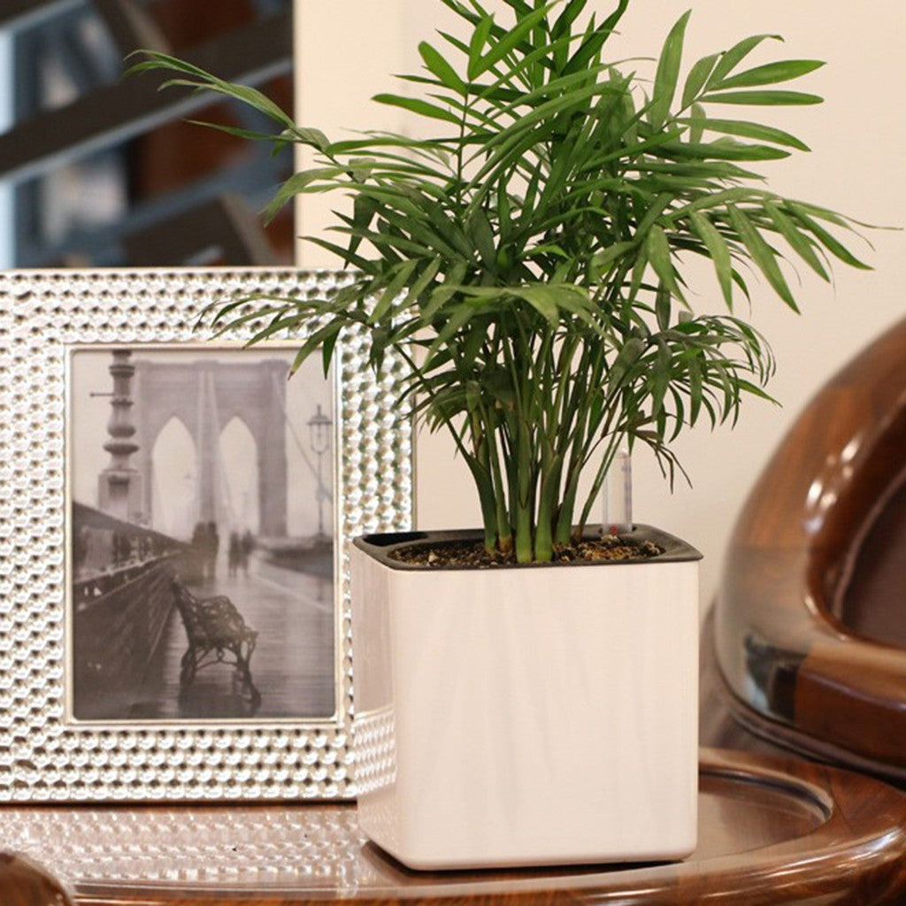 Plantador branco com rega automática, indicador de água, vaso decorativo moder