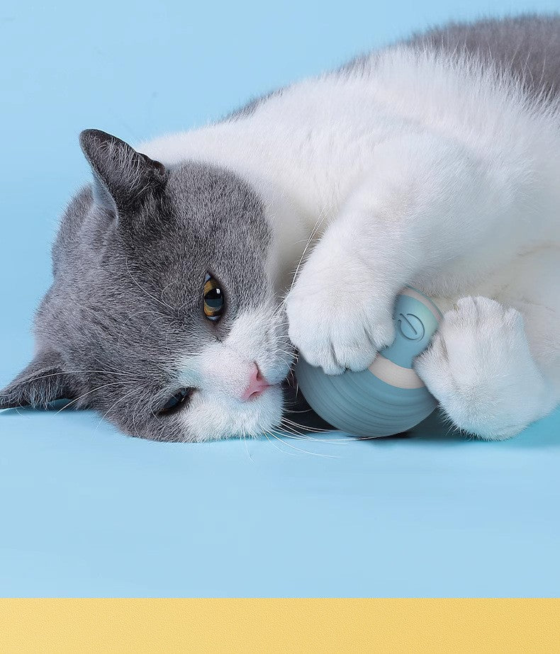 Gato bola interativa inteligente gato brinquedos interior automático rolamento