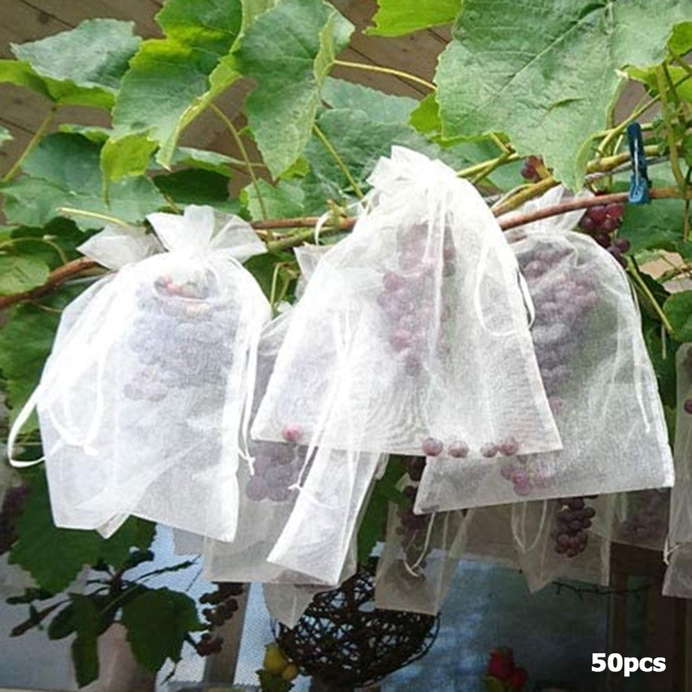 20-100 pçs morango uvas frutas frutas crescer sacos rede malha vegetal planta s
