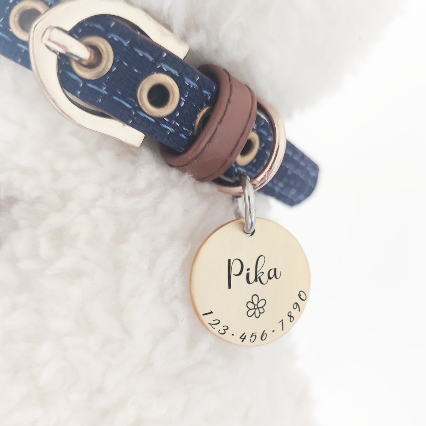 Personalizado pet gato cão id tag colar acessórios mw001 personalizado gravado