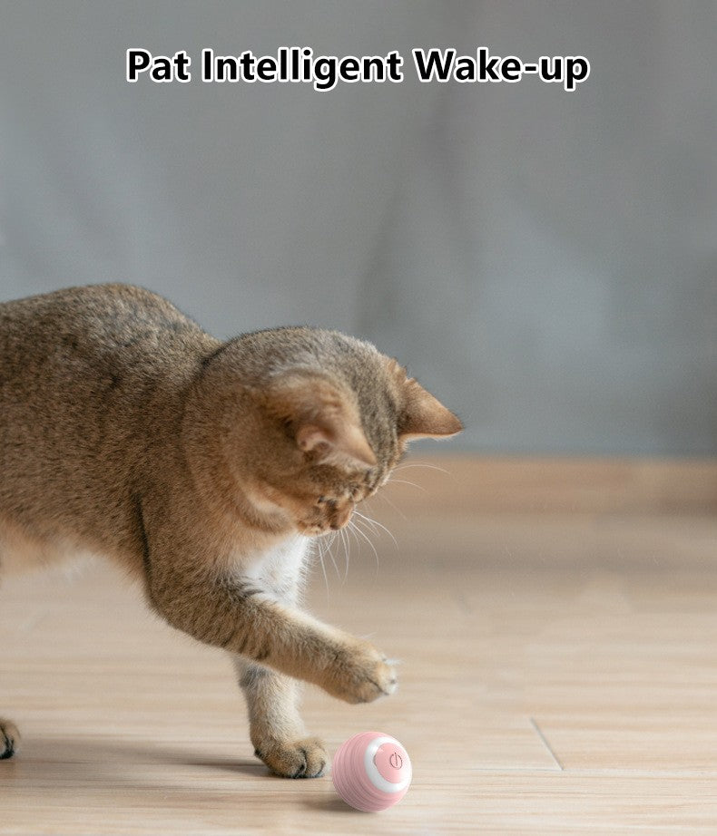 Gato bola interativa inteligente gato brinquedos interior automático rolamento