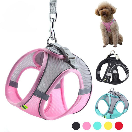Conjunto de Arnês Ajustável para Cachorro e Gato, Colete para Cães, Trela Pet