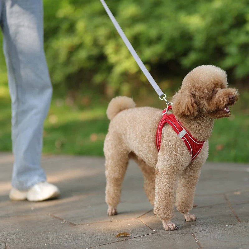 Conjunto de Arnês Ajustável para Cachorro e Gato, Colete para Cães, Trela Pet