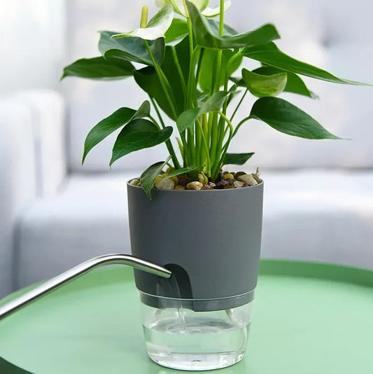 Vaso de flores de plástico transparente, camada dupla, rega automática, corda