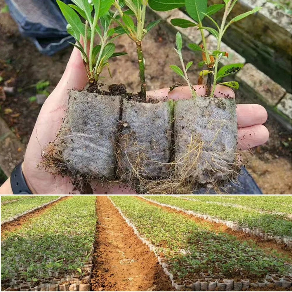 100-500 peças saco de berçário biodegradável planta crescer sacos de ferrame