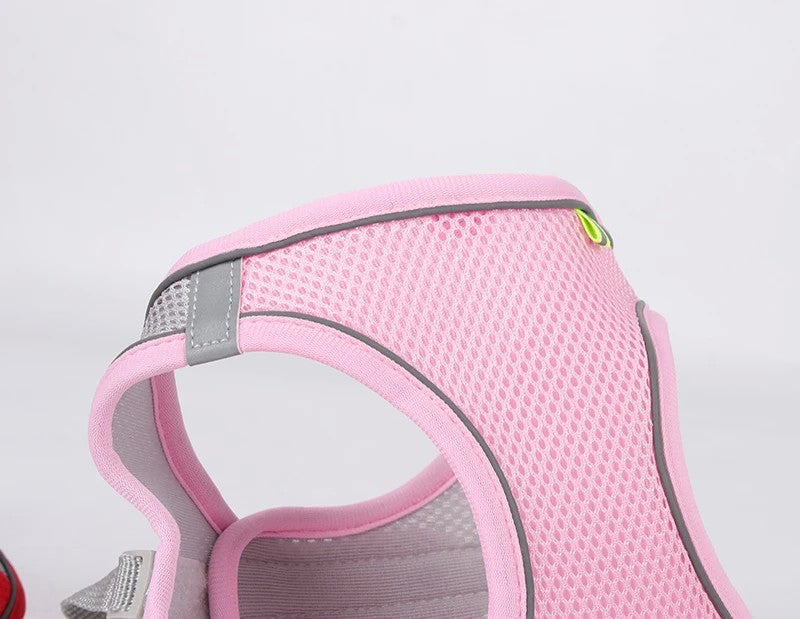 Conjunto de Arnês Ajustável para Cachorro e Gato, Colete para Cães, Trela Pet